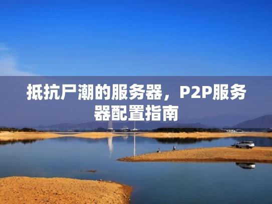 抵抗尸潮的服务器，P2P服务器配置指南