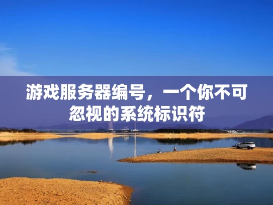 游戏服务器编号，一个你不可忽视的系统标识符