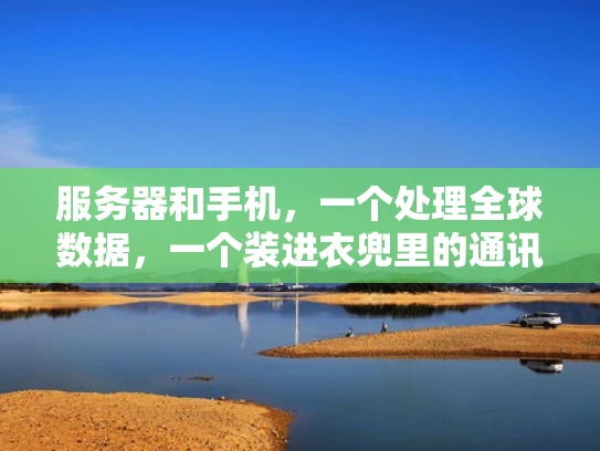 服务器和手机，一个处理全球数据，一个装进衣兜里的通讯工具