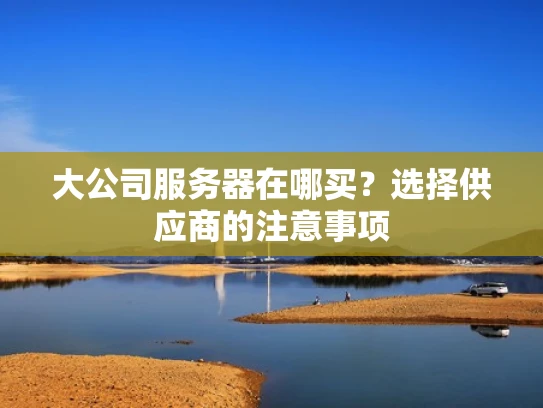 大公司服务器在哪买？选择供应商的注意事项