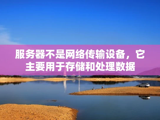 服务器不是网络传输设备，它主要用于存储和处理数据