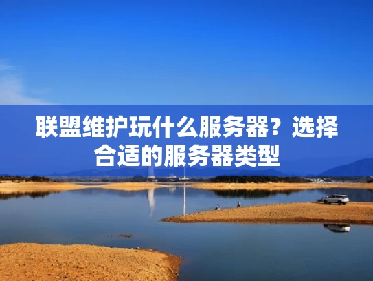 联盟维护玩什么服务器？选择合适的服务器类型