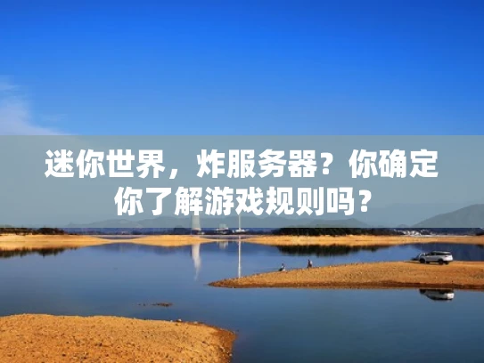 迷你世界，炸服务器？你确定你了解游戏规则吗？