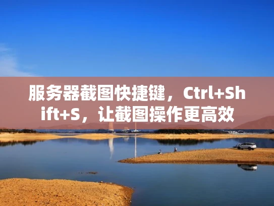 服务器截图快捷键，Ctrl+Shift+S，让截图操作更高效
