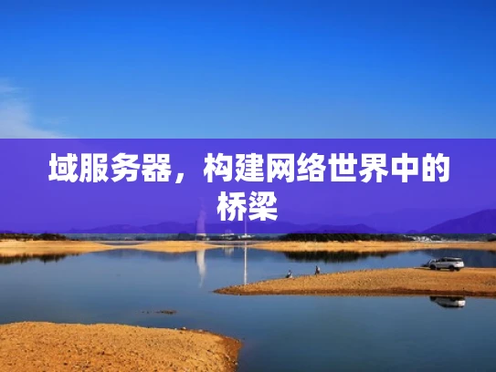 域服务器，构建网络世界中的桥梁