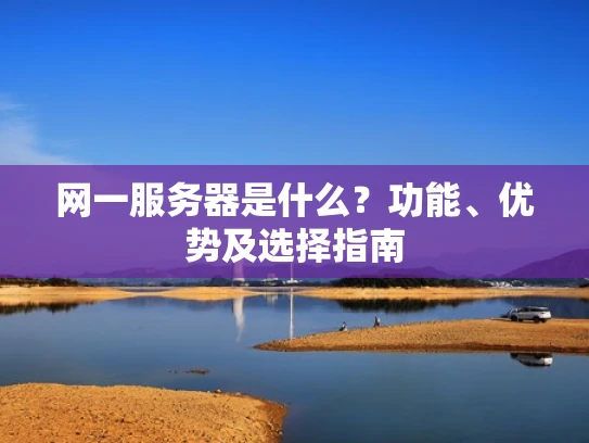 网一服务器是什么？功能、优势及选择指南
