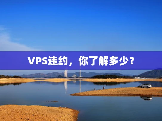 VPS违约，你了解多少？