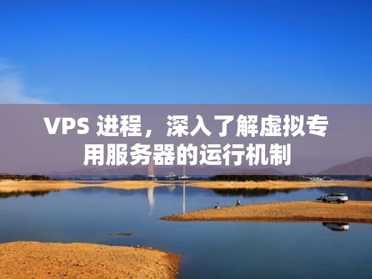 VPS 进程，深入了解虚拟专用服务器的运行机制