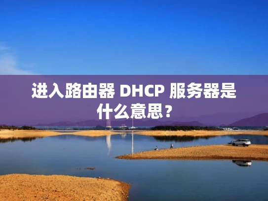 进入路由器 DHCP 服务器是什么意思？