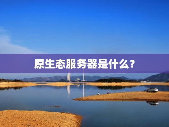 原生态服务器是什么？