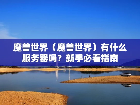 魔兽世界（魔兽世界）有什么服务器吗？新手必看指南