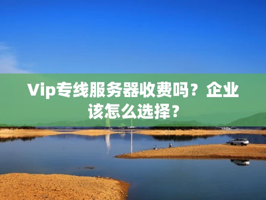 Vip专线服务器收费吗？企业该怎么选择？