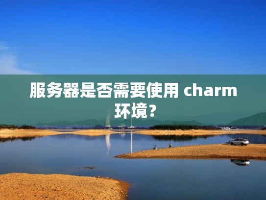 服务器是否需要使用 charm 环境？