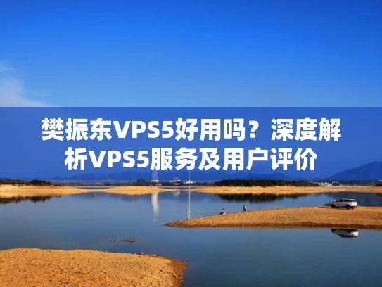 樊振东VPS5好用吗？深度解析VPS5服务及用户评价
