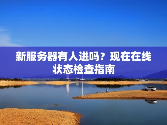 新服务器有人进吗？现在在线状态检查指南