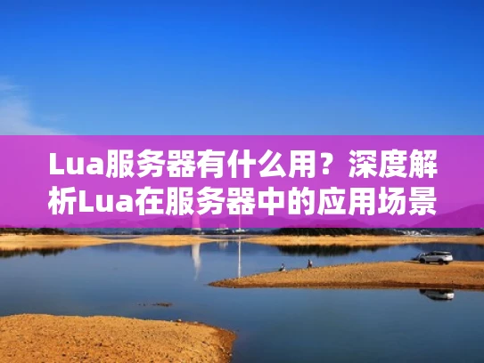 Lua服务器有什么用？深度解析Lua在服务器中的应用场景