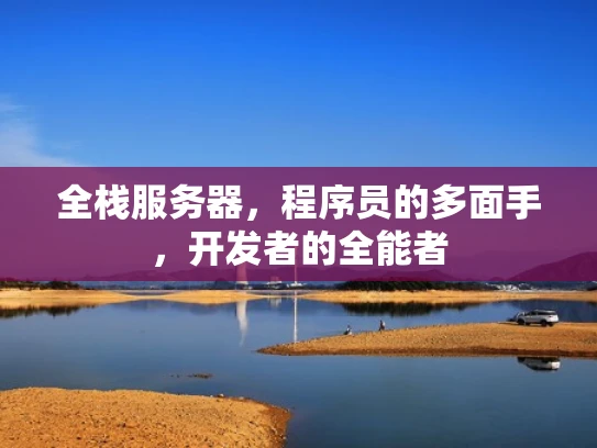 全栈服务器，程序员的多面手，开发者的全能者