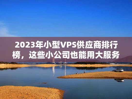 2023年小型VPS供应商排行榜，这些小公司也能用大服务？