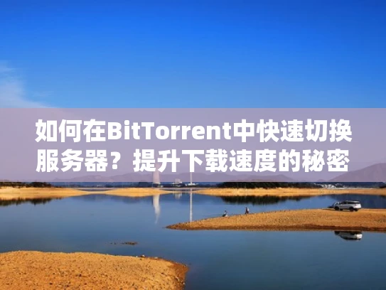如何在BitTorrent中快速切换服务器？提升下载速度的秘密！