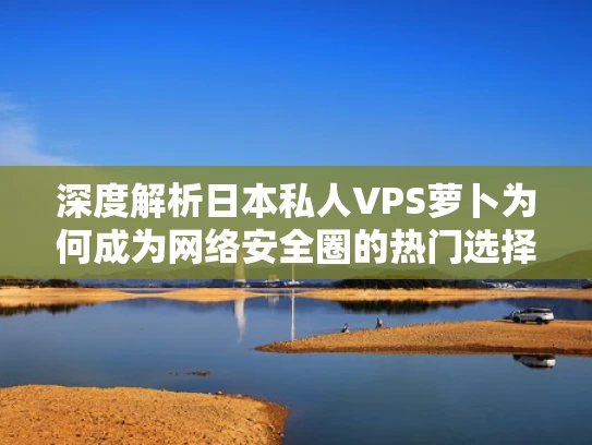 深度解析日本私人VPS萝卜为何成为网络安全圈的热门选择？