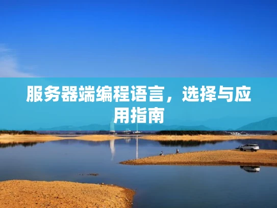 服务器端编程语言，选择与应用指南