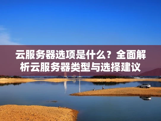 云服务器选项是什么？全面解析云服务器类型与选择建议