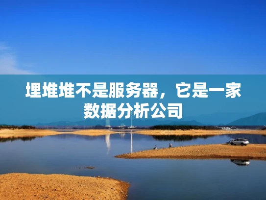 埋堆堆不是服务器，它是一家数据分析公司