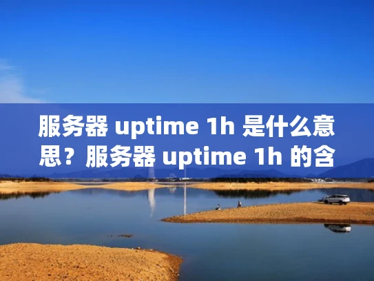 服务器 uptime 1h 是什么意思？服务器 uptime 1h 的含义是什么？