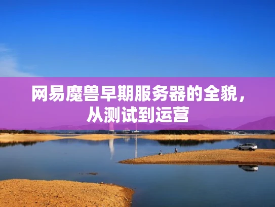网易魔兽早期服务器的全貌，从测试到运营
