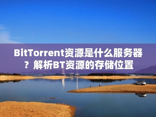 BitTorrent资源是什么服务器？解析BT资源的存储位置