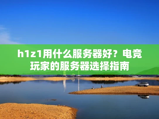h1z1用什么服务器好？电竞玩家的服务器选择指南