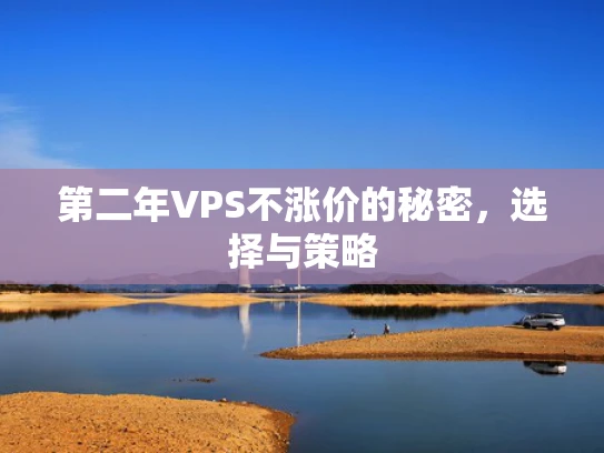 第二年VPS不涨价的秘密，选择与策略