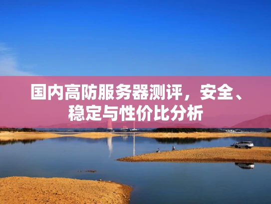 国内高防服务器测评，安全、稳定与性价比分析