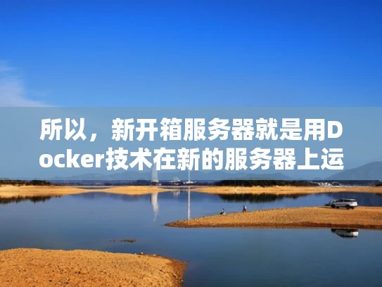 所以，新开箱服务器就是用Docker技术在新的服务器上运行一个预先配置好的环境，方便快速部署和测试新的应用程序。这种方式不仅提高了效率，还减少了服务器之间的冲突