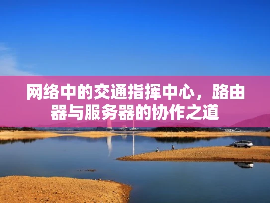 网络中的交通指挥中心，路由器与服务器的协作之道
