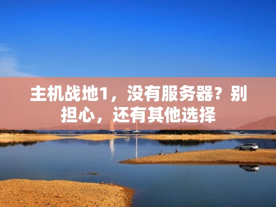 主机战地1，没有服务器？别担心，还有其他选择