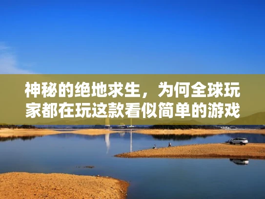 神秘的绝地求生，为何全球玩家都在玩这款看似简单的游戏？