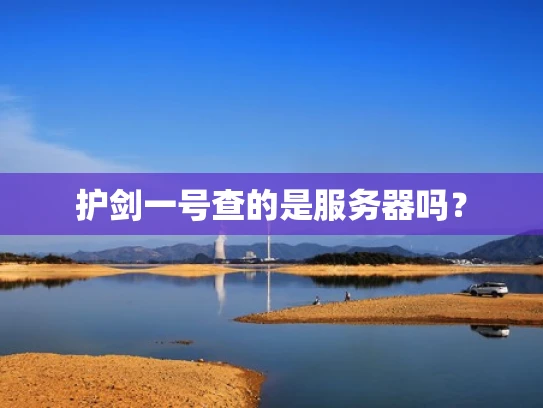 护剑一号查的是服务器吗？