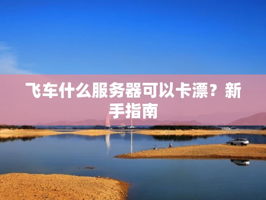 飞车什么服务器可以卡漂？新手指南