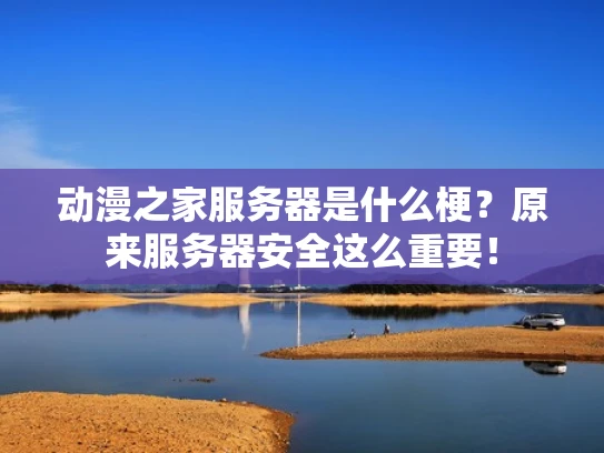 动漫之家服务器是什么梗？原来服务器安全这么重要！