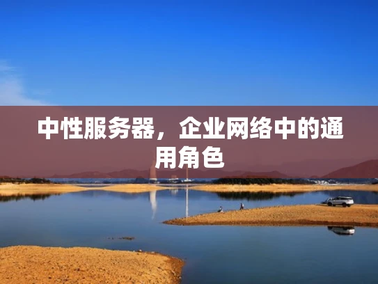 中性服务器，企业网络中的通用角色