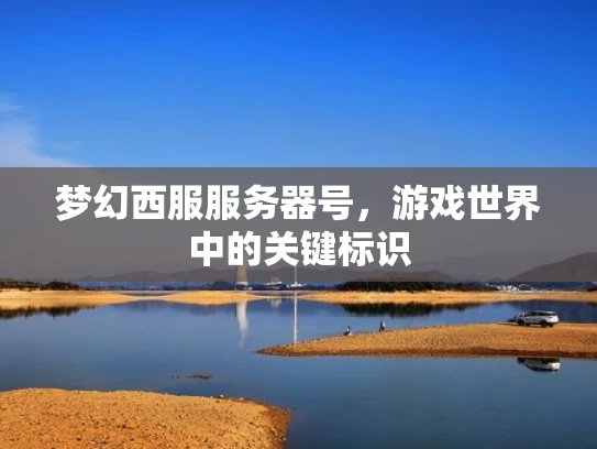 梦幻西服服务器号，游戏世界中的关键标识