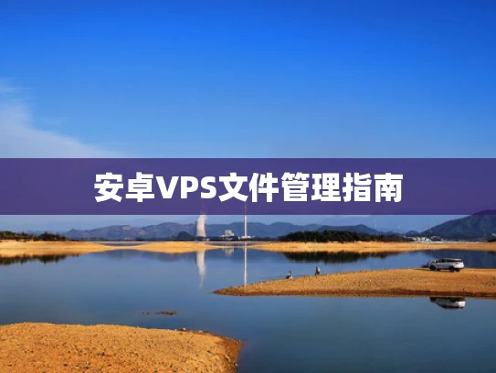 安卓VPS文件管理指南