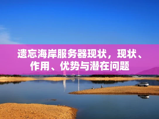 遗忘海岸服务器现状，现状、作用、优势与潜在问题