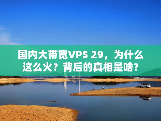 国内大带宽VPS 29，为什么这么火？背后的真相是啥？