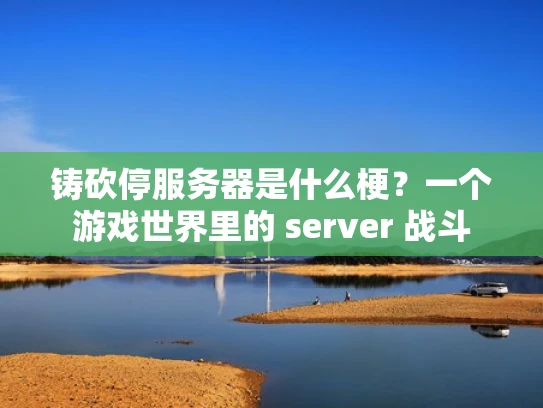 铸砍停服务器是什么梗？一个游戏世界里的 server 战斗