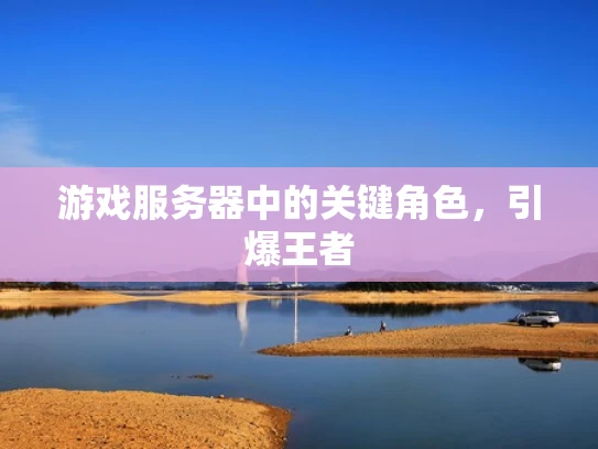 游戏服务器中的关键角色，引爆王者