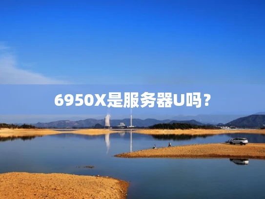 6950X是服务器U吗？