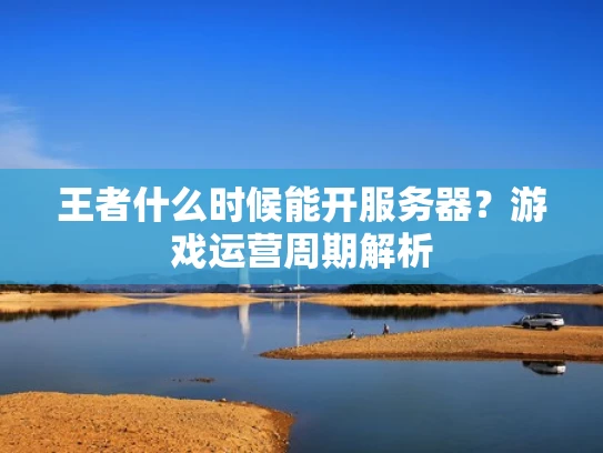 王者什么时候能开服务器？游戏运营周期解析