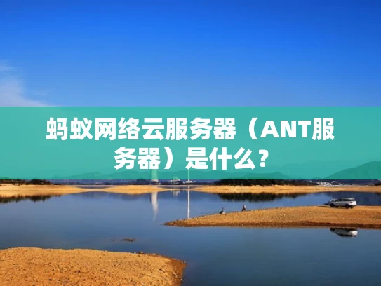 蚂蚁网络云服务器（ANT服务器）是什么？